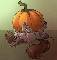 Size: 1210x1280 | Tagged: safe, artist:sugaryviolet, oc, oc only, oc:denzel, behaving like a cat, clothes, costume, food, pumpkin, socks, solo, striped socks