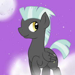 Size: 4000x4000 | Tagged: safe, artist:lisa400, derpibooru import, thunderlane, background pony, night, raised hoof, solo