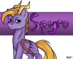 Size: 1252x1024 | Tagged: safe, artist:yukomaussi, dracony, hybrid, ponified, solo, spyro the dragon