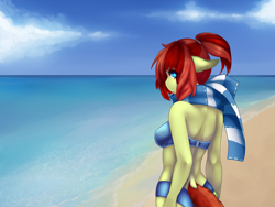 Size: 1600x1200 | Tagged: safe, artist:tolsticot, oc, oc only, anthro, beach, clothes, scarf, unnamed oc