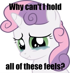 Size: 877x912 | Tagged: safe, derpibooru import, sweetie belle, caption, crying, feels, image macro, reaction image, sad, scrunchy face, solo