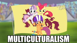 Size: 956x530 | Tagged: safe, derpibooru import, edit, edited screencap, screencap, apple bloom, scootaloo, sweetie belle, earth pony, pegasus, pony, unicorn, flight to the finish, cutie mark crusaders, female, filly, flag, helmet, image macro, multiculturalism, pony pyramid, ponyville flag, trio