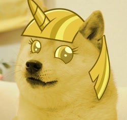 Size: 592x559 | Tagged: safe, derpibooru import, princess twilight sparkle (episode), doge, doge scepter, dogefied, exploitable meme, meme, memeception, shibe, twilight scepter, wat, wow