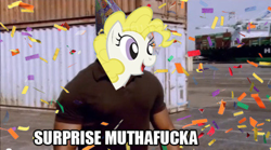 Size: 500x277 | Tagged: safe, derpibooru import, surprise, dexter, image macro, james doakes, pun, solo, surprise motherfucker, vulgar