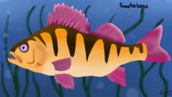 Size: 1920x1080 | Tagged: safe, artist:mrs-ponylicious, derpibooru import, scootaloo, fish, fishified, scootabass, solo, species swap, underwater, yellow perch