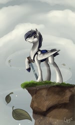 Size: 461x768 | Tagged: safe, artist:casynuf, derpibooru import, oc, oc only, pegasus, pony, solo, sword