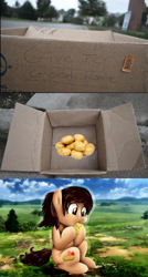 Size: 500x936 | Tagged: safe, attack on titan, dashie meme, eating, exploitable meme, meme, ponified, potato, sasha braus