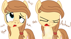 Size: 4000x2232 | Tagged: safe, artist:masterxtreme, derpibooru import, oc, oc only, oc:cream heart, earth pony, pony, eyes closed, female, fetish, mare, open mouth, simple background, sneezing, sneezing fetish, solo, teeth, text, transparent background