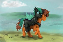 Size: 1980x1320 | Tagged: safe, artist:mik3thestrange, oc, oc only, changeling, earth pony, pony, beach, female, male, ocean, quadrupedal, stallion, water