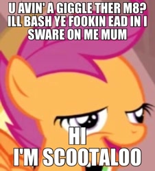 Size: 576x636 | Tagged: safe, derpibooru import, edit, edited screencap, screencap, scootaloo, chickun, exploitable meme, image macro, meme, solo, text, u wot m8, vulgar