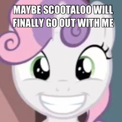 Size: 512x512 | Tagged: safe, derpibooru import, scootaloo, sweetie belle, female, happy, image macro, lesbian, meme, scootabelle, shipping, solo, text