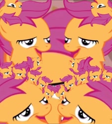 Size: 640x708 | Tagged: safe, derpibooru import, scootaloo, chickun, exploitable meme, meme, wat