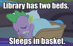 Size: 934x590 | Tagged: safe, derpibooru import, spike, dragon, basket, blanket, caption, image macro, pillow, sleeping, solo