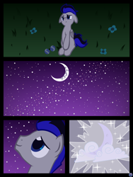 Size: 3456x4608 | Tagged: safe, artist:template93, absurd resolution, blank flank, commission, glasses, hijo de la luna, moon, night, solo