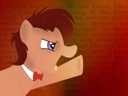 Size: 1024x768 | Tagged: safe, derpibooru import, doctor whooves, crying, doctor who, eleventh doctor, rings of akhaten, solo