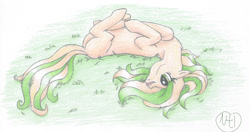 Size: 1603x844 | Tagged: safe, artist:nimthedragon, derpibooru import, oc, oc only, blank flank, grass, horses doing horse things, on back, open mouth, rolling, smiling, solo, traditional art