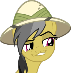 Size: 4414x4605 | Tagged: safe, derpibooru import, daring do, daring don't, season 4, absurd resolution, face, simple background, smugdash, solo, transparent background, vector