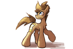 Size: 3000x2000 | Tagged: safe, artist:queenbloodysky, derpibooru import, doctor whooves, earth pony, pony, brown coat, brown mane, male, solo, stallion