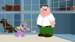 Size: 480x269 | Tagged: safe, derpibooru import, spike, dog, equestria girls, family guy, life of brian (family guy episode), peter griffin, spike the dog