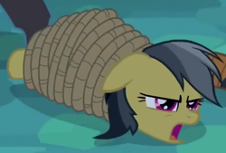 Size: 660x447 | Tagged: safe, derpibooru import, screencap, daring do, big cat, panther, tiger, daring don't, bondage, rope, ropes, solo, tied up