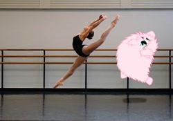 Size: 550x386 | Tagged: safe, artist:mixermike622, derpibooru import, edit, oc, oc:fluffle puff, human, backbend, ballet, gasp, irl, irl human, leotard, photo, ponies in real life