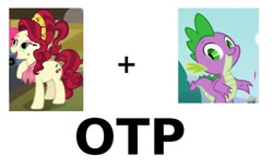 Size: 812x500 | Tagged: safe, derpibooru import, cherry jubilee, spike, dragon, exploitable meme, meme, otp, shitposting