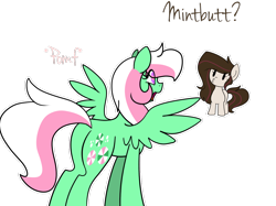 Size: 1280x957 | Tagged: safe, artist:mintatheena, derpibooru import, minty, oc, oc:sugarberry, pegasus, pony, askmintypegasus, plot, pomf, race swap, wingboner