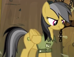 Size: 500x390 | Tagged: safe, derpibooru import, screencap, daring do, daring don't, scrunchy face, solo