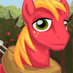 Size: 1600x1600 | Tagged: safe, artist:lopilot, derpibooru import, big macintosh, earth pony, pony, bust, male, portrait, solo, stallion