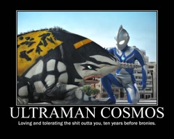 Size: 750x600 | Tagged: safe, derpibooru import, barely pony related, brony, demotivational poster, gubila, love and tolerate, meme, ultraman, ultraman cosmos