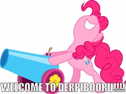 Size: 2594x1926 | Tagged: safe, derpibooru import, pinkie pie, earth pony, pony, derpibooru, image macro, party cannon, solo