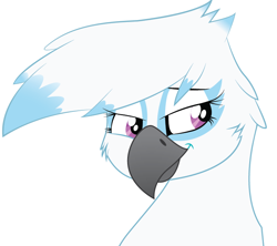 Size: 704x625 | Tagged: safe, artist:tallyburd, derpibooru import, oc, oc only, oc:skye snowtail, griffon, simple background, solo, vector, white background, wip