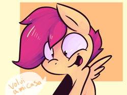 Size: 1024x768 | Tagged: safe, derpibooru import, scootaloo, pegasus, pony, dialogue, female, filly, solo, spanish