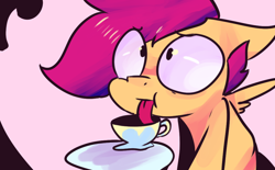 Size: 1024x636 | Tagged: safe, derpibooru import, scootaloo, pegasus, pony, cup, mlem, silly, solo, teacup, tongue out