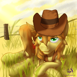 Size: 900x900 | Tagged: safe, artist:quinsapientae, derpibooru import, braeburn, bedroom eyes, cloud, cloudy, hat, solo