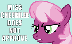 Size: 900x550 | Tagged: safe, edit, edited screencap, screencap, cheerilee, the cutie pox, angry, caption, frown, image macro, reaction image, solo