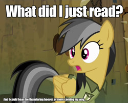 Size: 896x720 | Tagged: safe, derpibooru import, daring do, daring don't, caption, image macro, shocked, solo