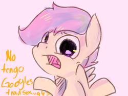 Size: 1024x768 | Tagged: safe, derpibooru import, scootaloo, pegasus, pony, dialogue, female, filly, solo, spanish