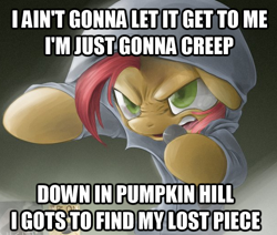 Size: 612x520 | Tagged: safe, artist:rouletteobsidian, derpibooru import, babs seed, earth pony, pony, babs the rapper, clothes, crossover, exploitable meme, female, filly, hoodie, image macro, meme, nose wrinkle, pumpkin hill, solo, sonic adventure 2, sonic the hedgehog (series)