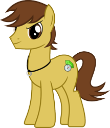 Size: 678x788 | Tagged: safe, artist:myth chaser, derpibooru import, oc, oc only, oc:myth chaser, earth pony, pony, brown, compass, gem, male, necklace, ring, simple background, solo, stallion