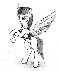 Size: 825x1000 | Tagged: safe, artist:mindlesshead, derpibooru import, oc, oc only, oc:brightsky, pegasus, pony, blank flank, monochrome, prpg, solo, wings