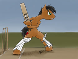 Size: 800x611 | Tagged: safe, artist:bingodingo, derpibooru import, oc, oc only, bat pony, pony, cricket (sport), cricket bat, pun, solo