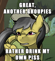 Size: 800x889 | Tagged: safe, derpibooru import, daring do, pegasus, pony, bear grylls, better drink my own piss, dare grylls, female, image macro, implied piss drinking, mare, meme, solo