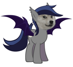 Size: 934x855 | Tagged: safe, derpibooru import, edit, bat pony, pony, doge, solo, wat