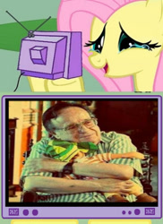 Size: 437x599 | Tagged: safe, derpibooru import, el chavo del 8, exploitable meme, fluttercry, happy fluttercry, meme, obligatory pony, roberto gomez bolaños, tv meme