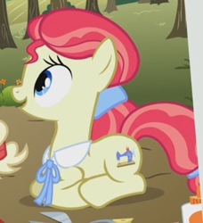 Size: 314x345 | Tagged: safe, derpibooru import, screencap, sew 'n sow, earth pony, pony, apple family reunion, apple family member, background pony, cropped, female, mare, prone, solo, solo focus