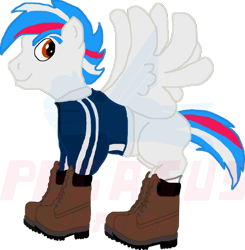 Size: 660x673 | Tagged: safe, artist:pegasusexpress2010, oc, oc only, pegasus, pony, boots, clothes, jacket, solo