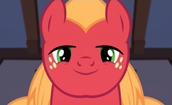 Size: 921x563 | Tagged: safe, edit, edited screencap, screencap, big macintosh, earth pony, pony, filli vanilli, male, mirrored, solo, stallion, unitinu, wat