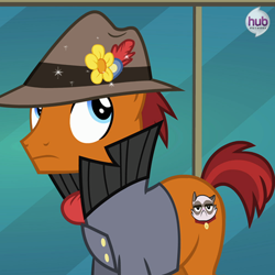 Size: 550x549 | Tagged: safe, derpibooru import, screencap, cat, earth pony, pony, rarity takes manehattan, clothes, cropped, cutie mark, flower, flower in hat, frown, grumpy cat, hat, hub logo, hubble, jacket, looking up, male, official, reference, scarf, solo, sourpuss, sparkles, stallion, the hub, wide eyes