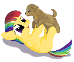 Size: 1200x1000 | Tagged: safe, artist:stinkehund, derpibooru import, oc, oc only, dog, pegasus, pony, :p, cute, diabetes, female, fluffy, holding, on back, open mouth, puppy, smiling, solo, tongue out